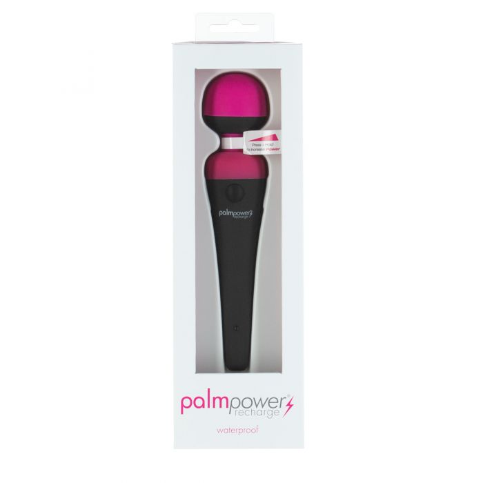 BMS - PalmPower Massage Wand Rechargeable